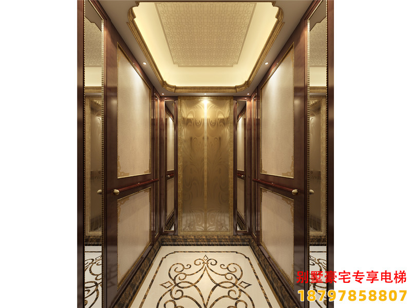 隆回县流行豪宅电梯装修